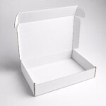 Blank White Display Mailer