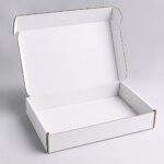 Custom Blank White Display Mailer